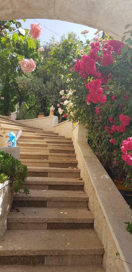 Hermon Accommodation Madzsdal Samsz Kültér fotó